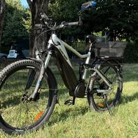 Varstrom Cola Bear E-MTB