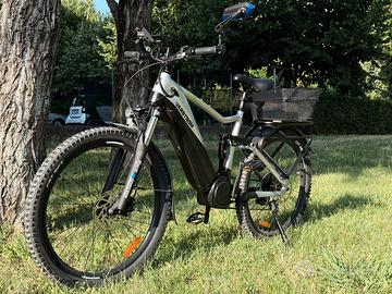 Varstrom Cola Bear E-MTB