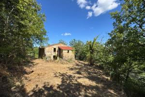 Rudere con terreno - Montelparo