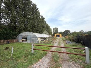 TER. AGRICOLO A CASTELLANZA