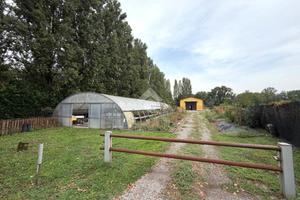 TER. AGRICOLO A CASTELLANZA