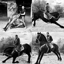 Addestramento cavalli