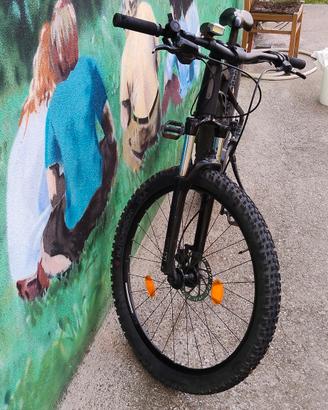bici elettrica 