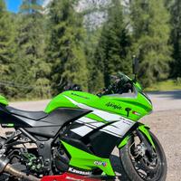kavasaki ninja 2010