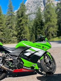 kavasaki ninja 2010
