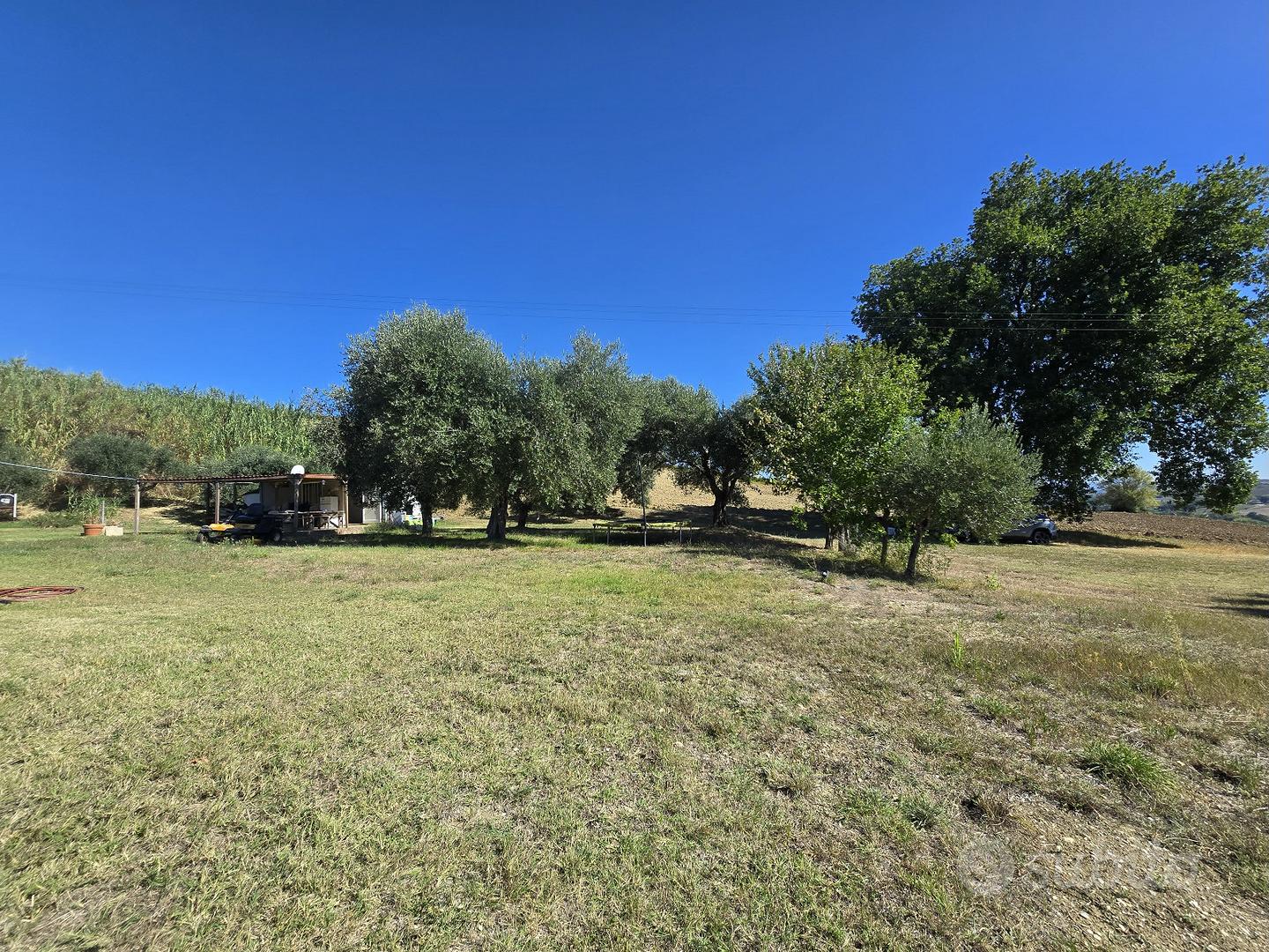 Terreno con casale da ristrutturare e accessori - Vista 3