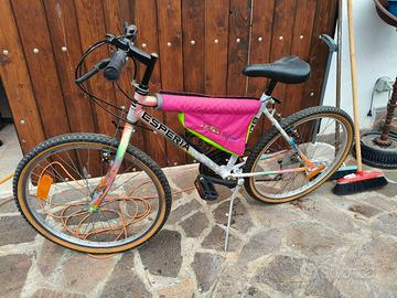 Mountain Bike 24
