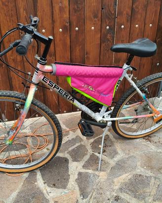 Mountain Bike 24