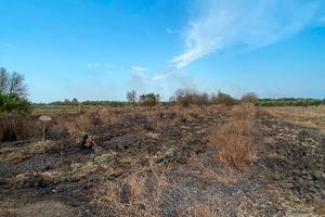 Due terreni "Bosco Colombo" e "Viscigli"