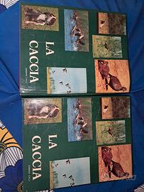 La Caccia