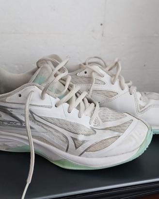 Scarpe Volley Mizuno