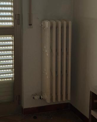 Termosifoni in ghisa