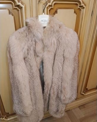 Pelliccia Tucci Montoci Firenze 