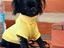 Immagine 5