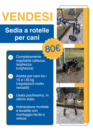 Sedia a rotelle per cani regolabile