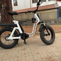 Fantic Issimo e-bike