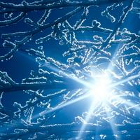 Fisica matematica statistica econometria