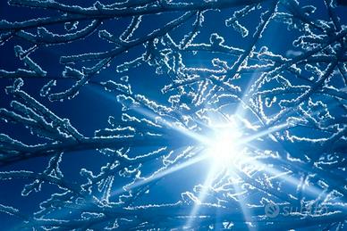 Fisica matematica statistica econometria