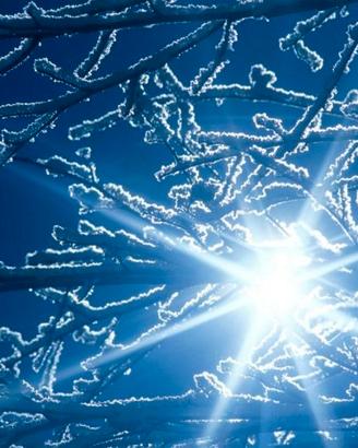 Fisica matematica statistica studenti ingegneria