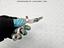 Immagine 12
