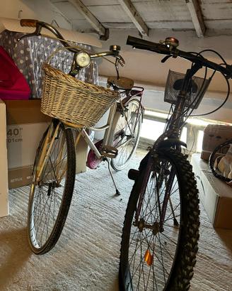 Bici da sostuire ruote