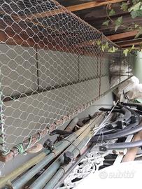 Corridora per uccelli