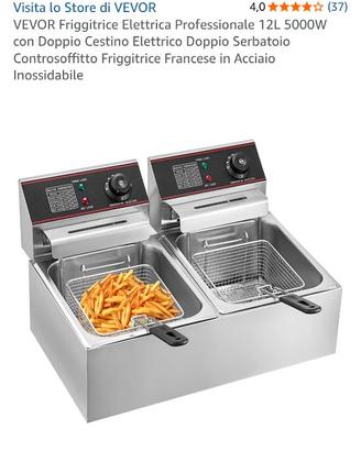 friggitrice professionale
