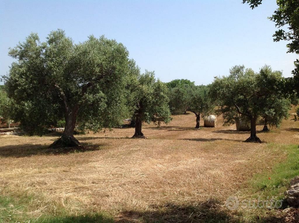 Rustico / Casale di 15 m² con 1 locale a Martina F - Vista 3