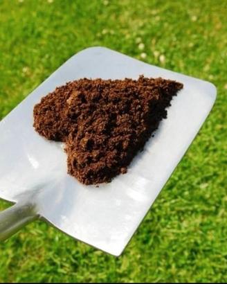 Concime bio di pecora