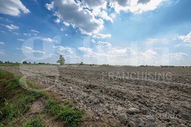 Terreno Agricolo Este [Cod. rif 3253346VCG]