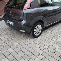 punto evo