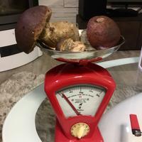 Rara Bilancia Vintage DULTON pesa fino a 2 Kg