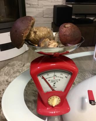 Rara Bilancia Vintage DULTON pesa fino a 2 Kg