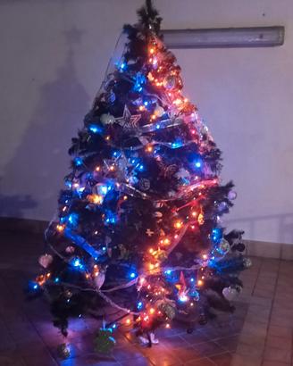 alberi natale 