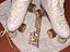 Immagine 1