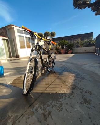 bici sintesi