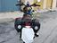Immagine 3