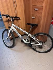 Bici da ragazzo