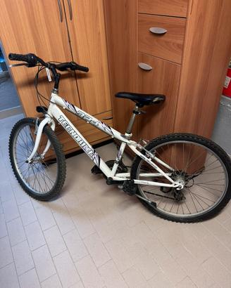 Bici da ragazzo