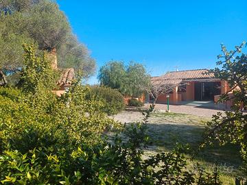 Al mare in pieno relax