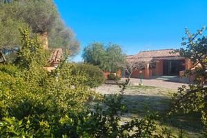 Al mare in pieno relax