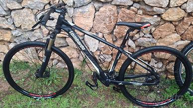 2Bici Mountan bike Lombardo Sestriere 