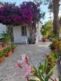 " Casa Bouganville " La Caletta
