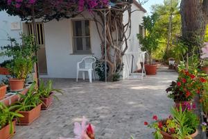" Casa Bouganville " La Caletta