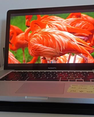 Apple Macbook Pro 15  mid 2010