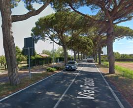 Cavallino - monolocale spese comprese