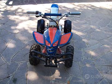 Mini quad 50