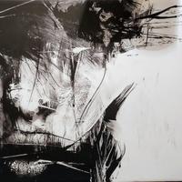 Stampe su Tela per la vostra casa.