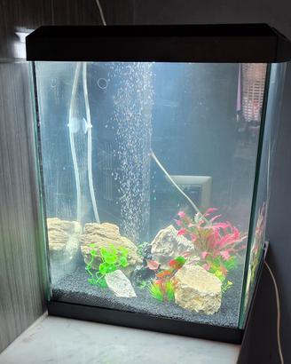 acquario 