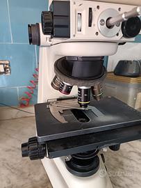 microscopio 